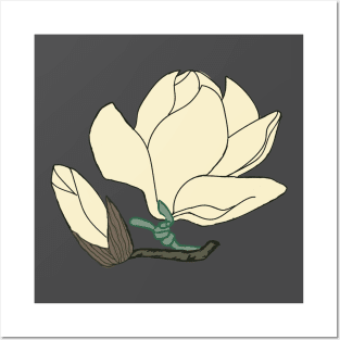 Magnolia in White Posters and Art